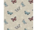 The Botanist Butterfly Butterflies on Cream Background